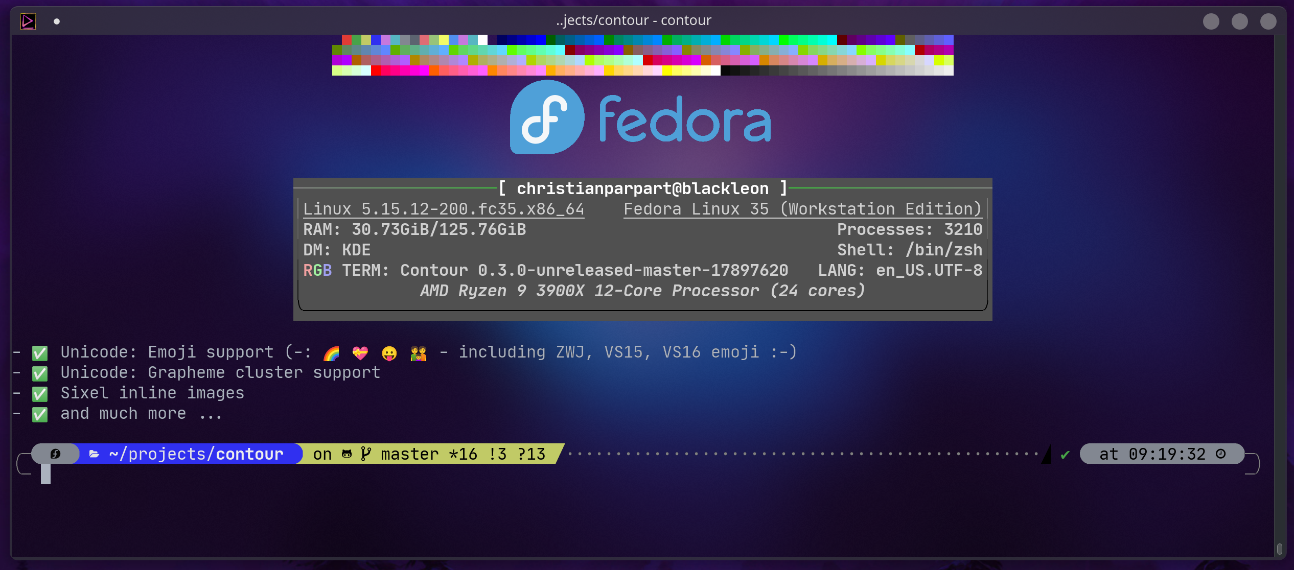 Screenshot screenshot showcasing notcurses ncneofetch on KDE/Fedora